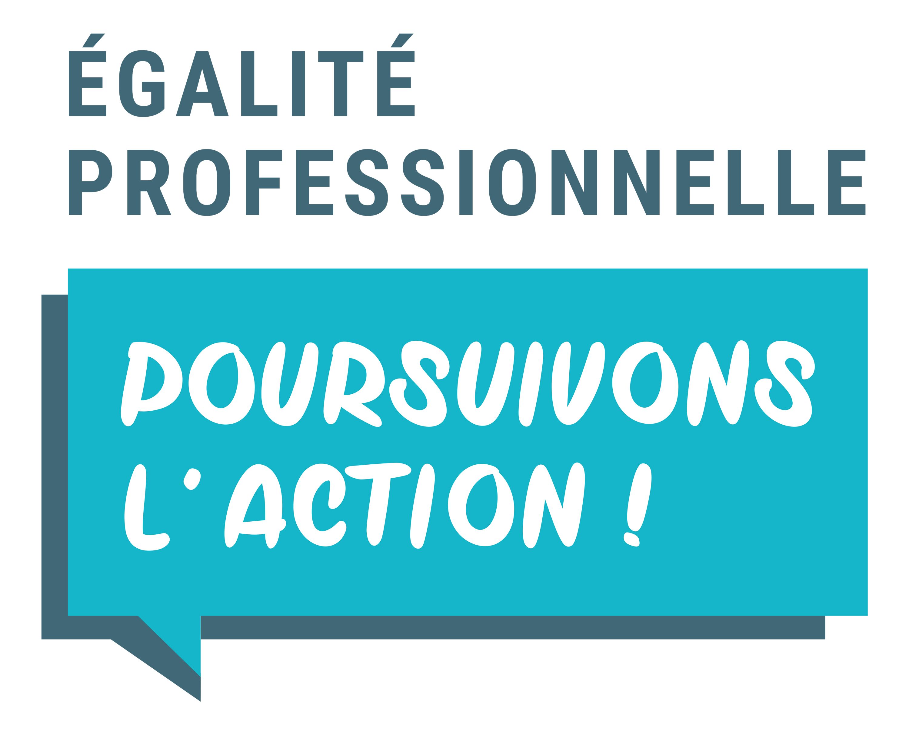 Egalité professionnelle Poursuivons l'action